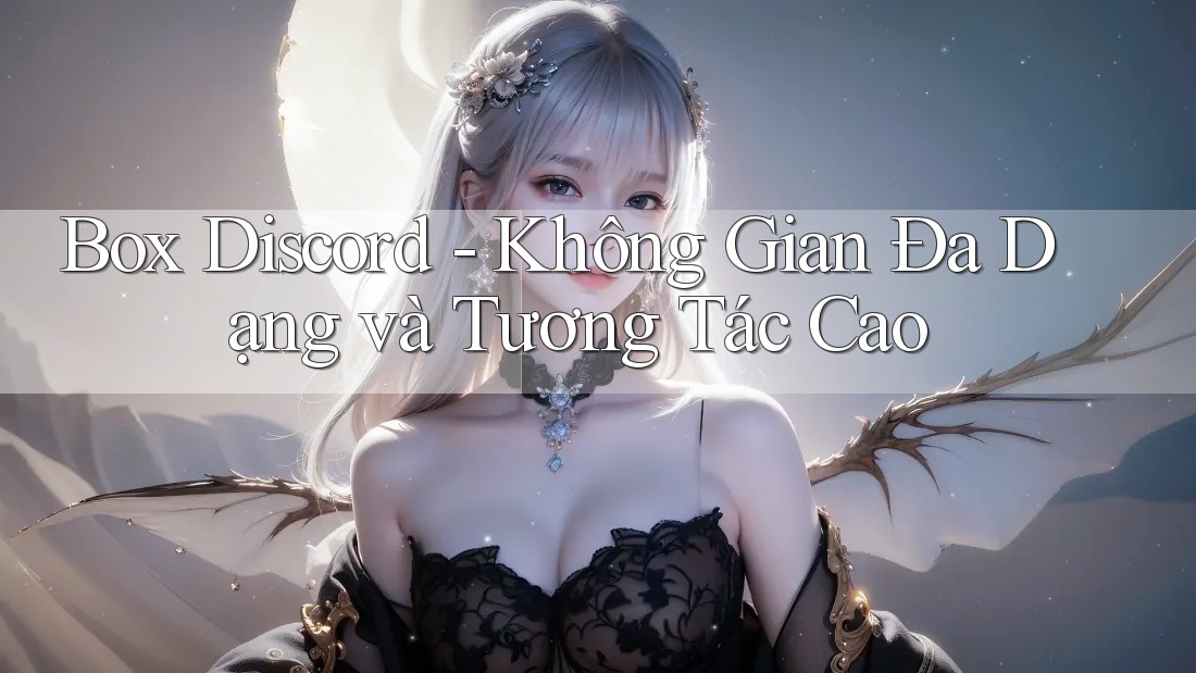 Box Discord - Không Gian Đa Dạng và Tương Tác Cao