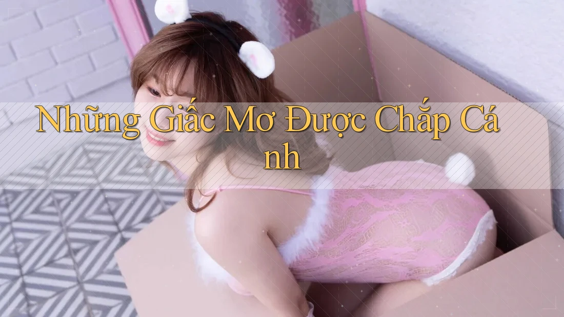 Những Giấc Mơ Được Chắp Cánh